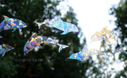 Dolphin Window Cling
