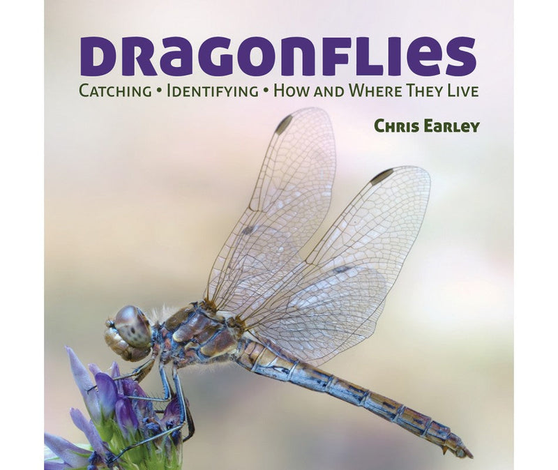 Dragonflies: Catching - Identifying - How and Where They Live