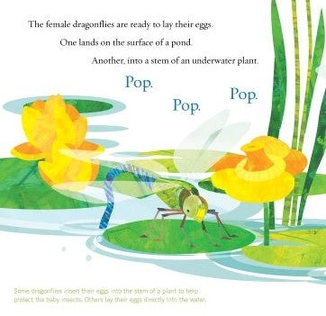 Soar High, Dragonfly! A Picture Book
Sample page