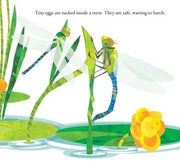 Soar High, Dragonfly! A Picture Book
sample page