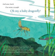 Soar High, Dragonfly! A Picture Book
sample page
