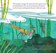 Soar High, Dragonfly! A Picture Book
sample page
