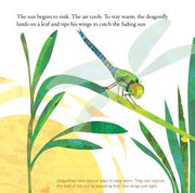 Soar High, Dragonfly! A Picture Book
sample page