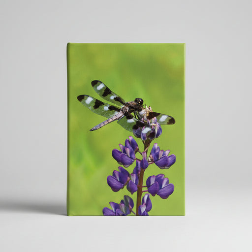 Dragonfly Blank Journal