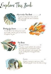 Drawn to Birds: A Naturalist's Sketchbook table of contents