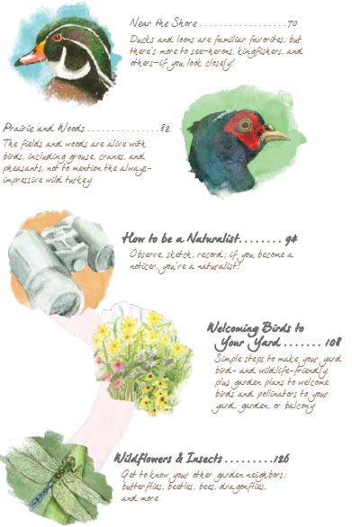 Drawn to Birds: A Naturalist's Sketchbook table of contents