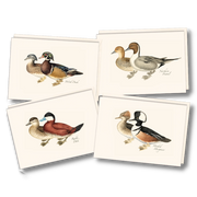 Duck Notecard Boxed Set of 8