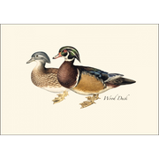 Duck Notecard Boxed Set of 8
wood ducks