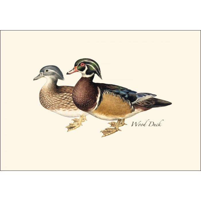 Duck Notecard Boxed Set of 8
wood ducks