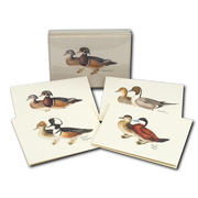 Duck Notecard Boxed Set of 8