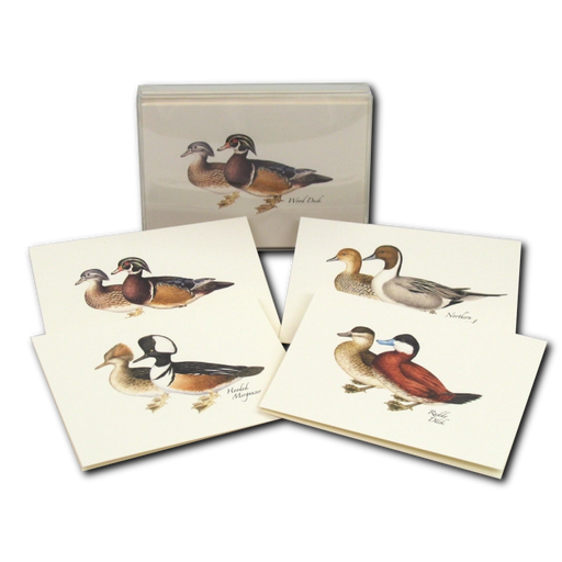 Duck Notecard Boxed Set of 8