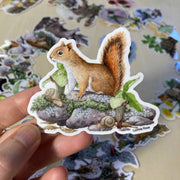 Sticker - Red Squirrel with Jack-in-the-Pulpit