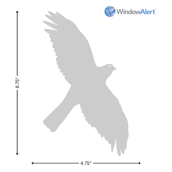 WindowAlert Hawk Decals