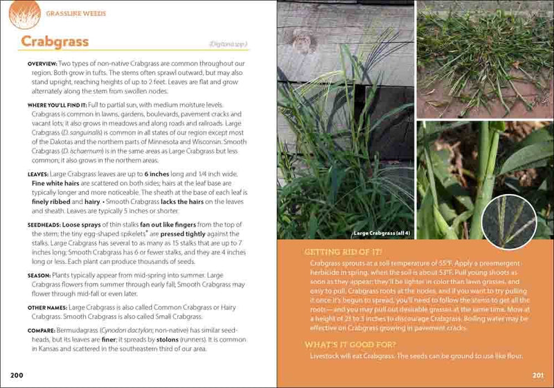 Common Backyard Weeds of the Midwest
sample pages