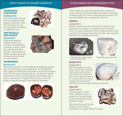 Michigan's Copper Country Rocks & Minerals Quick Guide sample pages