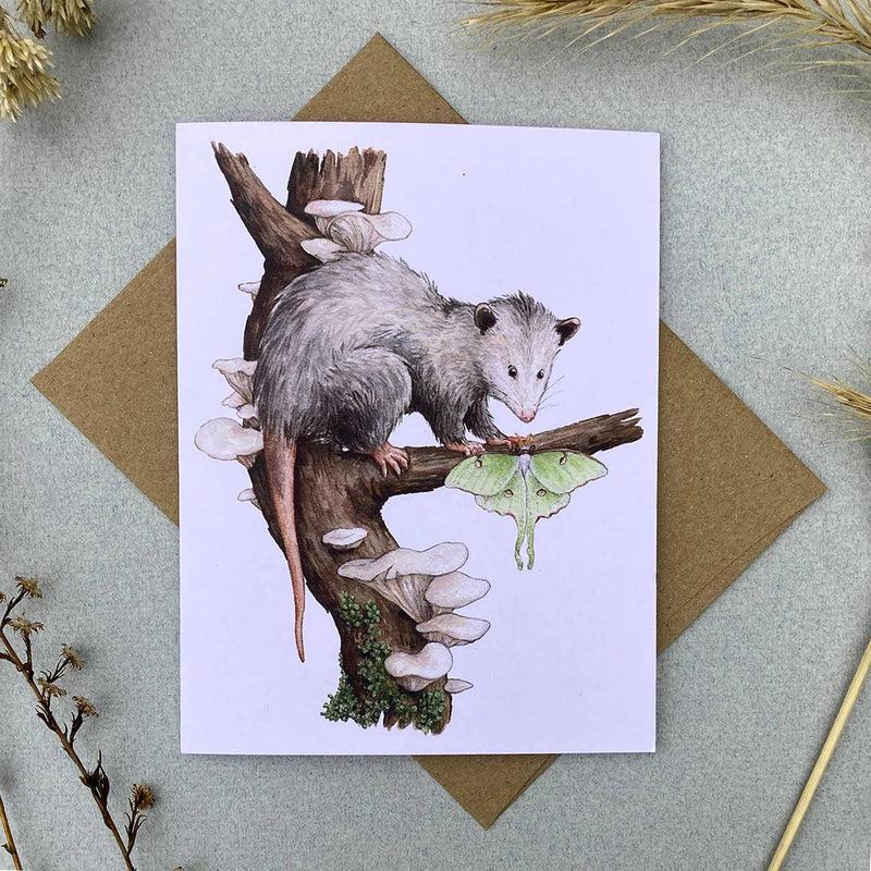 Card Set - 12 Woodland Critters On Blank Recycled Cards