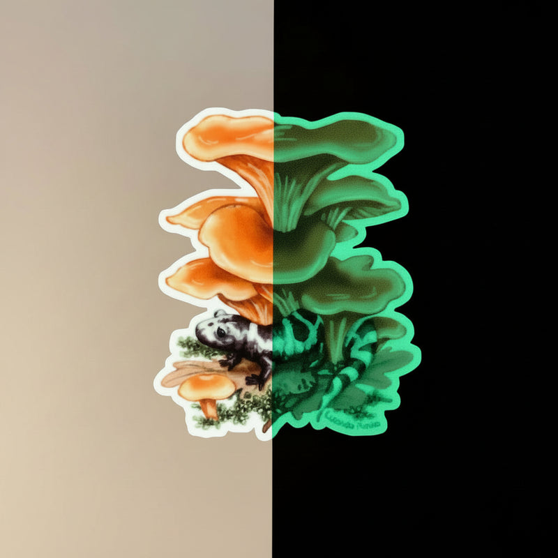 Sticker Glow in the Dark - Marbled Salamander with Fungi
