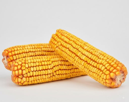 Ear Corn 6.5lb 