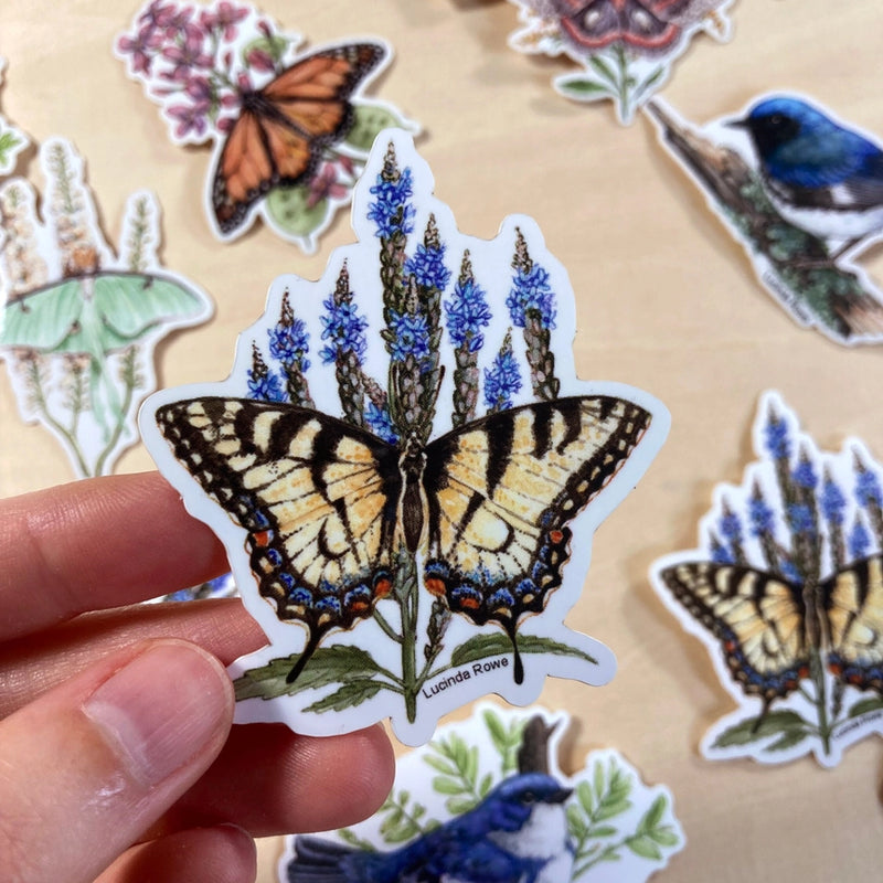 Vinyl Sticker - Eastern Tiger Swallowtail On Vervain