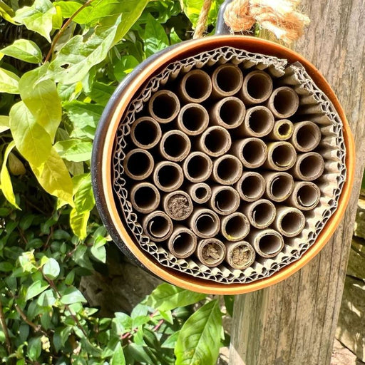 Eco Bee Nester in use