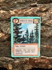 Ecologies Card Game
spruce tree card