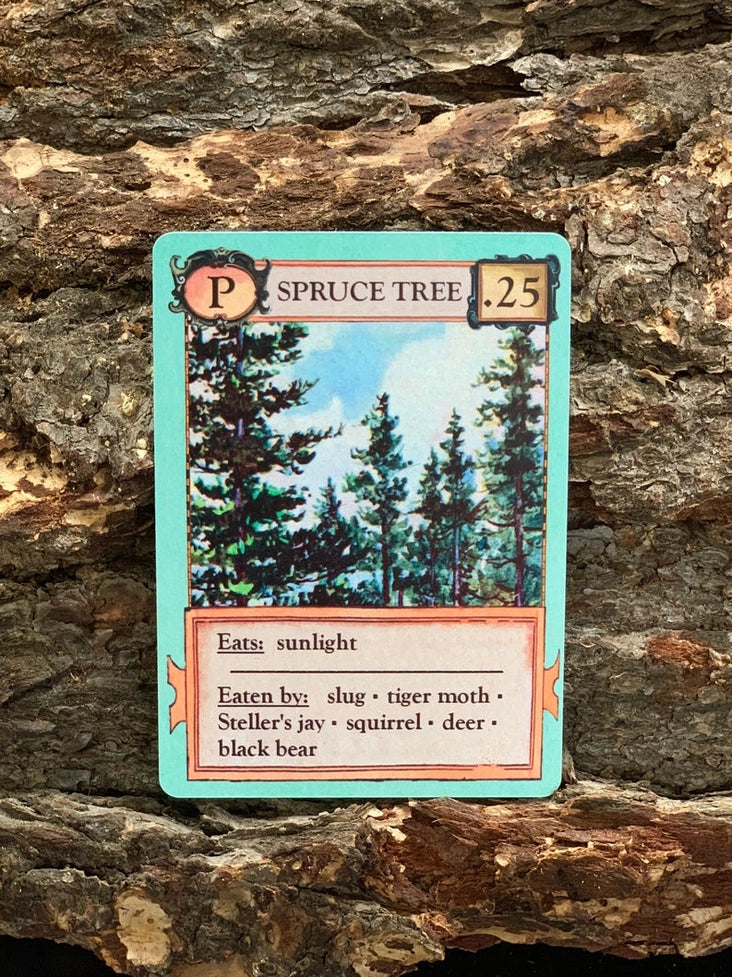 Ecologies Card Game
spruce tree card