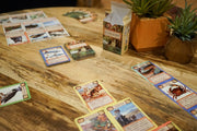 Ecologies Card Game
playing the game