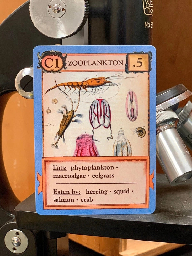 Ecologies Card Game
zooplankton card