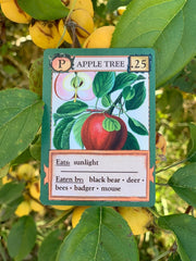Ecologies Card Game
apple tree card