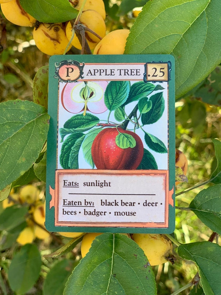 Ecologies Card Game
apple tree card