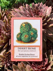 Ecologies Card Game
card sample