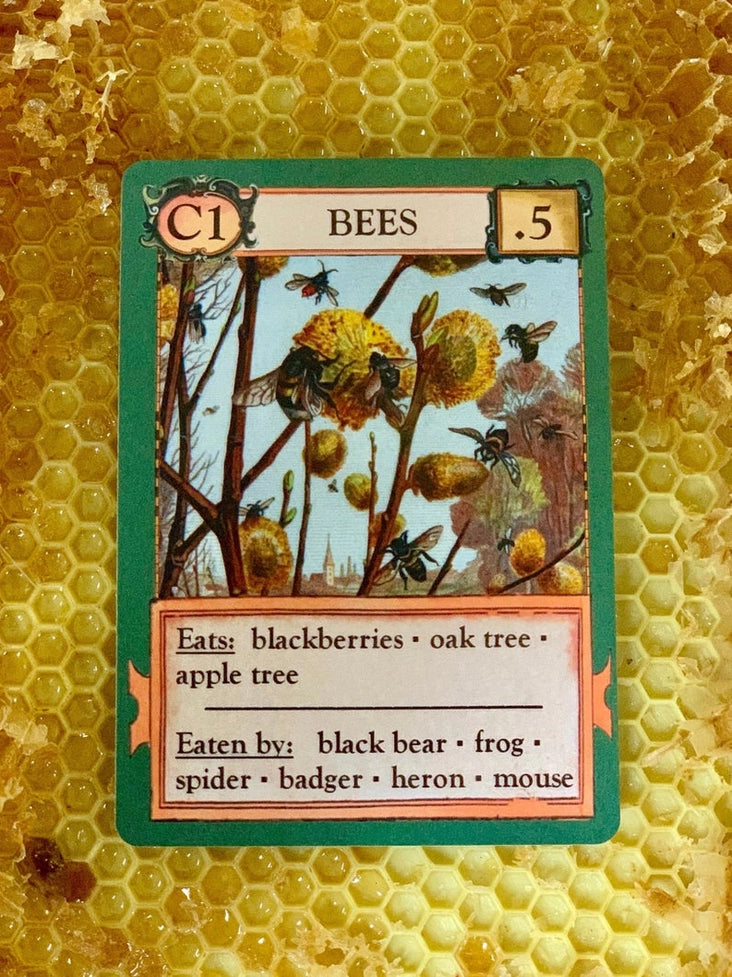 Ecologies Card Game
bees card