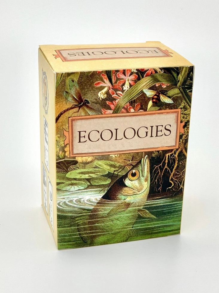Ecologies Card Game
packaging