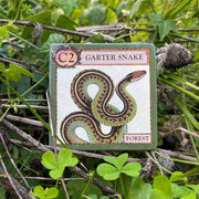 Game card featuring a garter snake illustration on a natural background