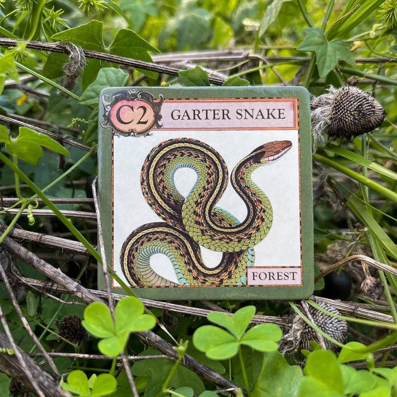 Game card featuring a garter snake illustration on a natural background