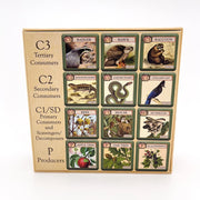 Back of educational card game box with animal and plant cards on a white background