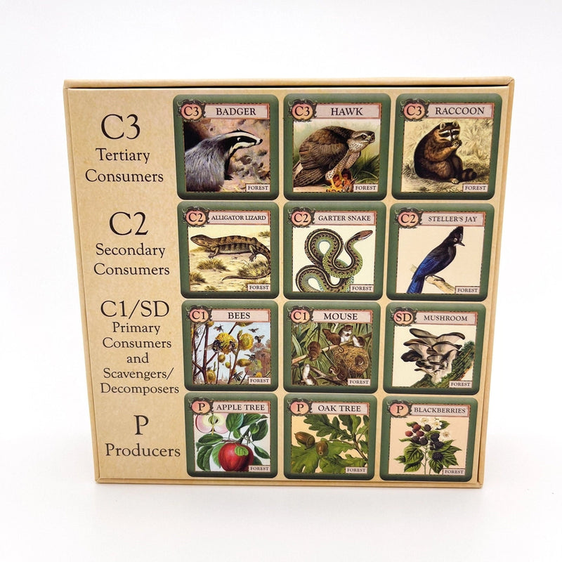 Back of educational card game box with animal and plant cards on a white background