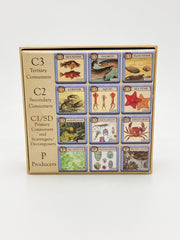 Ecologies Junior: Ocean Game
back of box