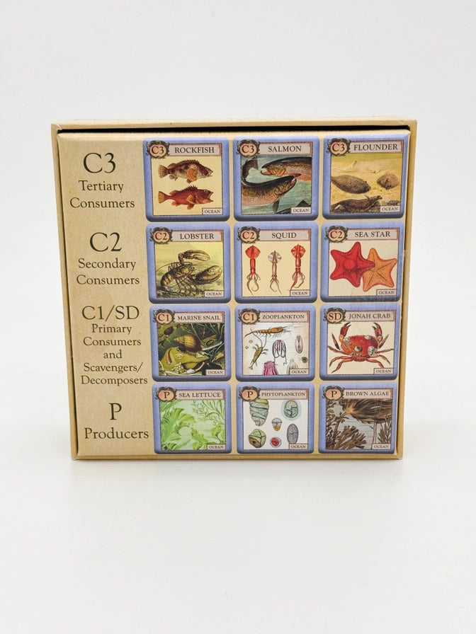 Ecologies Junior: Ocean Game
back of box