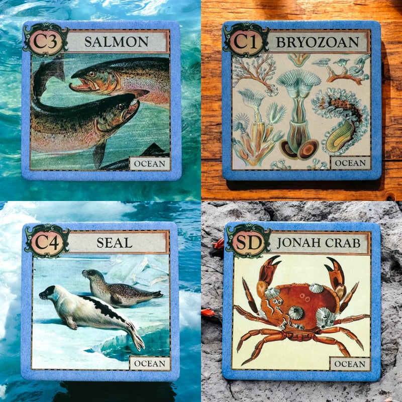 Four cards featuring different ocean creatures with illustrations and text on a textured background.