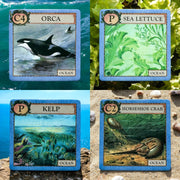 Four cards depicting marine life and plants with ocean-themed backgrounds.