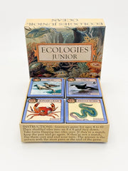 Box of 'Ecologies Junior' game with colorful illustrations on a white background