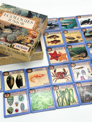 Ecologies Junior educational card game with ocean-themed cards and box.