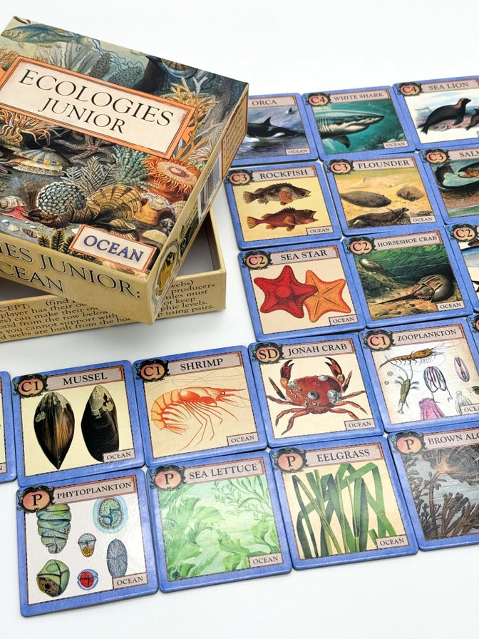 Ecologies Junior educational card game with ocean-themed cards and box.