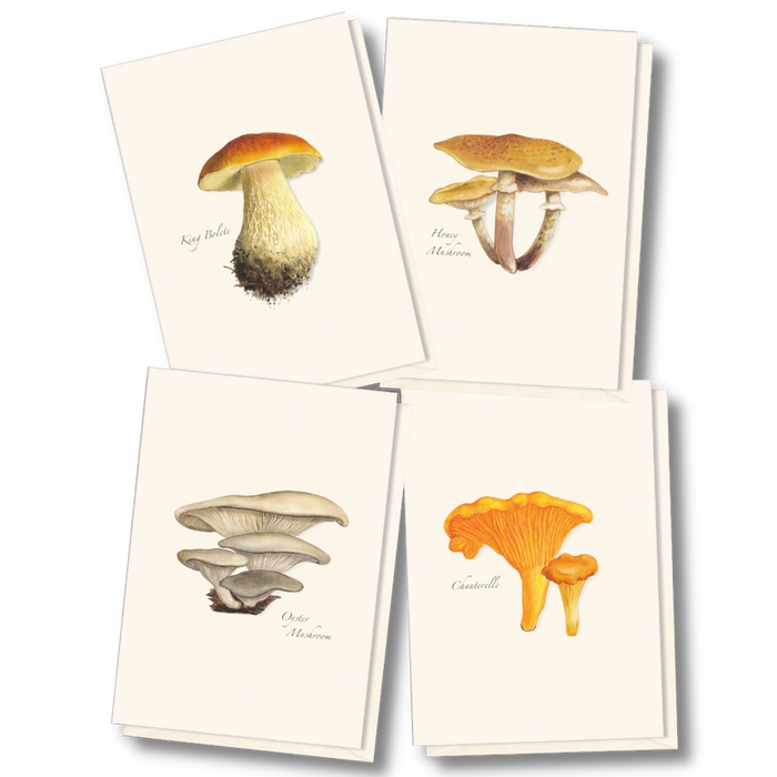 Edible Mushroom Assortment Notecard Boxed Set