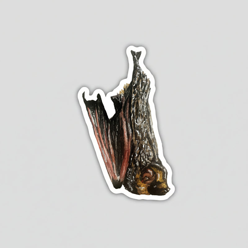 Hoary Bat Sticker