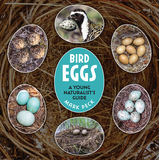 Bird Eggs : A Young Naturalist's Guide
book cover