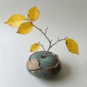 Pillow Vase - American Elm
with an autumn elm branch