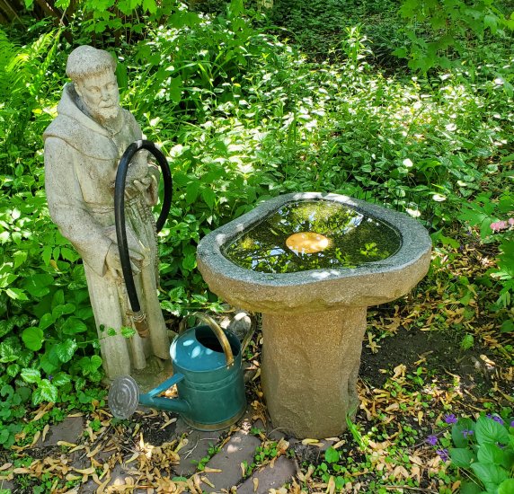 New Copper Bird Bath Purification Disk in use 