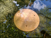 New Copper Bird Bath Purification Disk in use